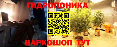 мдпв Обь