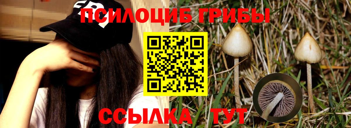 Псилоцибиновые грибы мицелий  закладки  Первоуральск  Вход с VPN 